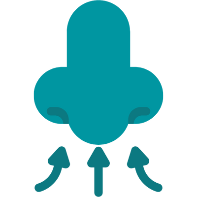 Tiras Nasales Pro anti-sudor