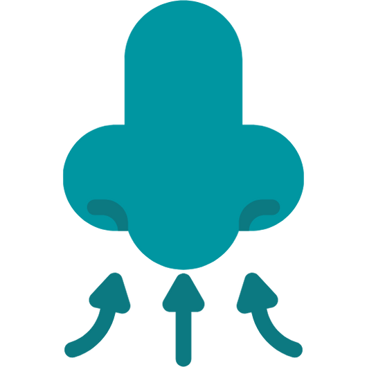 Tiras Nasales Pro anti-sudor